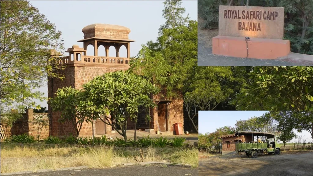 Royal Safari Camp one day picnic resort near ahmedabad