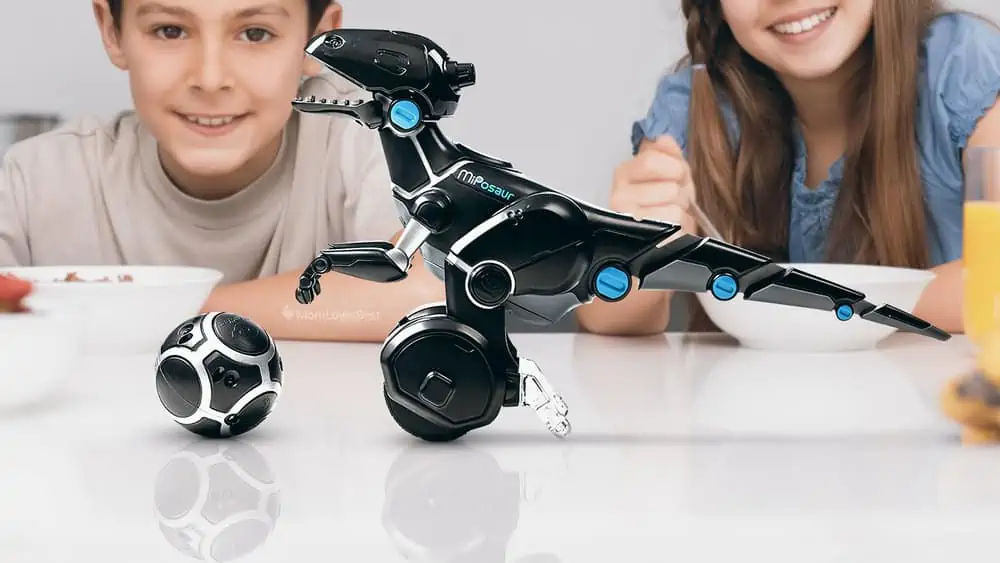 The Best Robot Toys for Kids in India